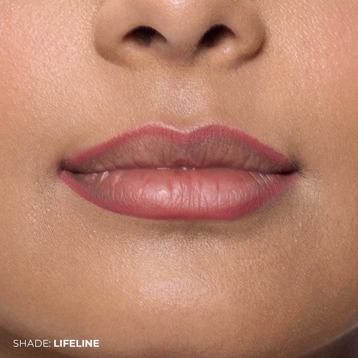 Lip Liner + Lush Blush Bundle