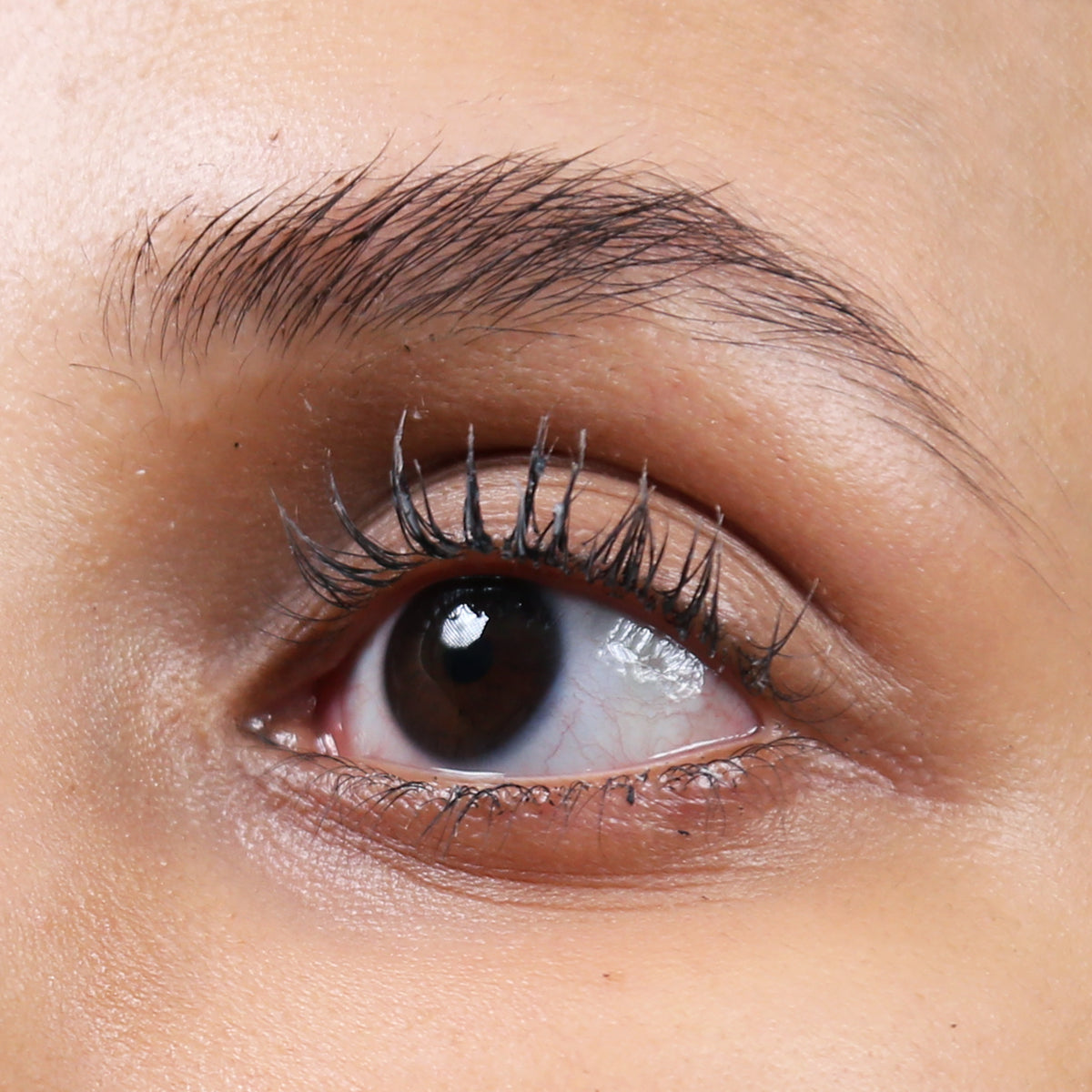 Eye-Deal Longwear Kajal + Brash Primer + Mascara Bundle