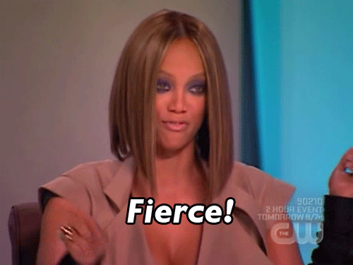 The Diary of an Aspiring Model
