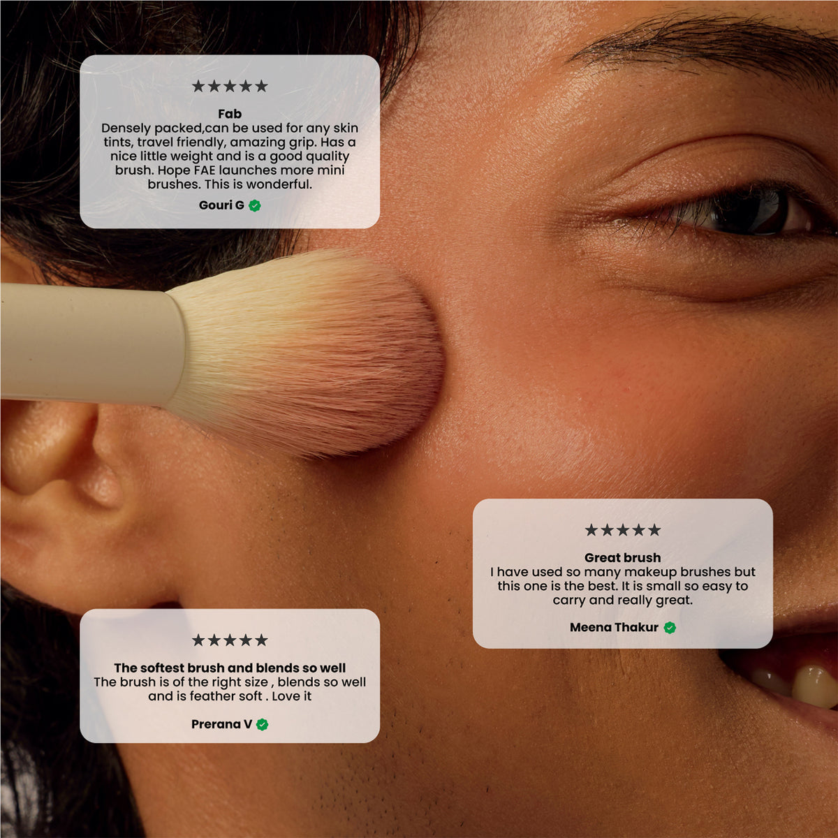 Lush Blush Brush