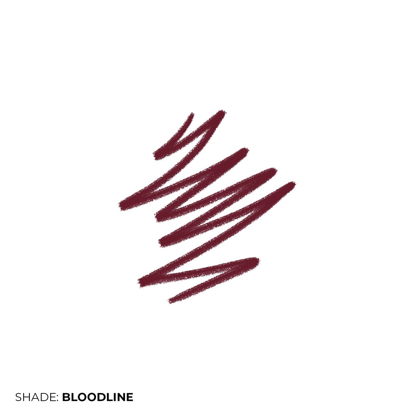 Lip Liner  + Lush Blush Bundle