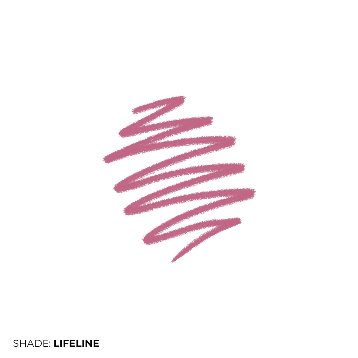 Lip Liner  + Lush Blush Bundle